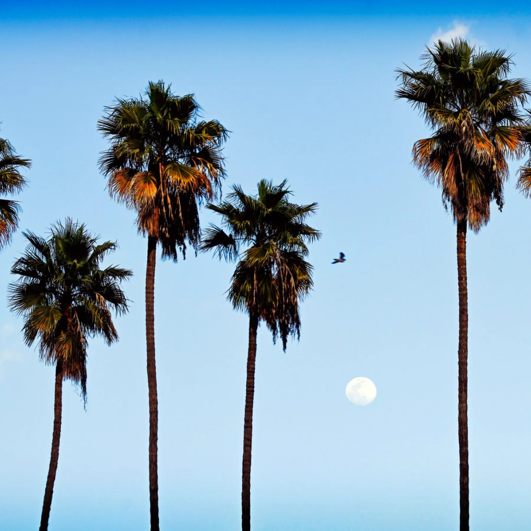 Last Night in LA: San Francisco Tourism Dinner at the Loews Hollywood #VisitSF